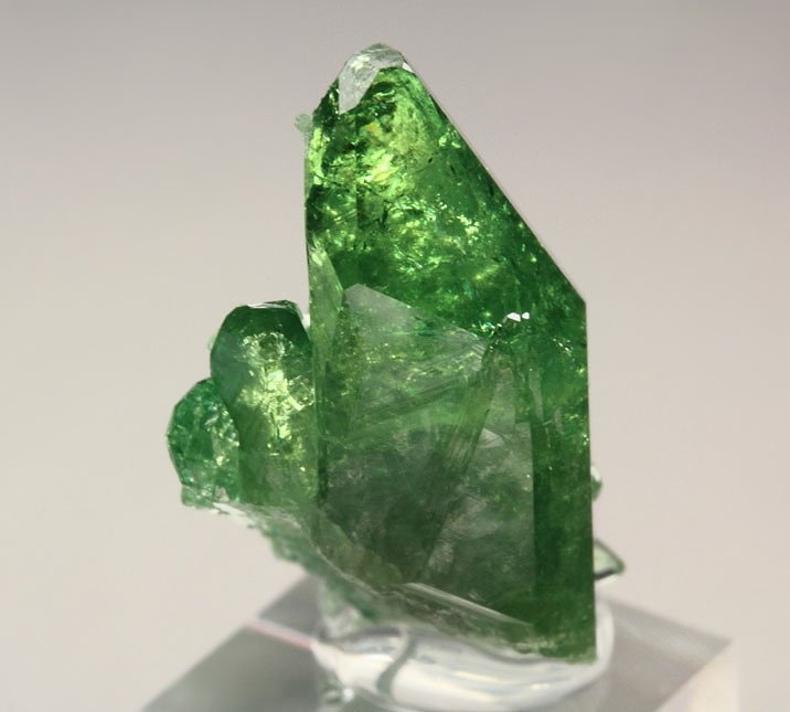 gem VESUVIANITE var. CHROMIAN