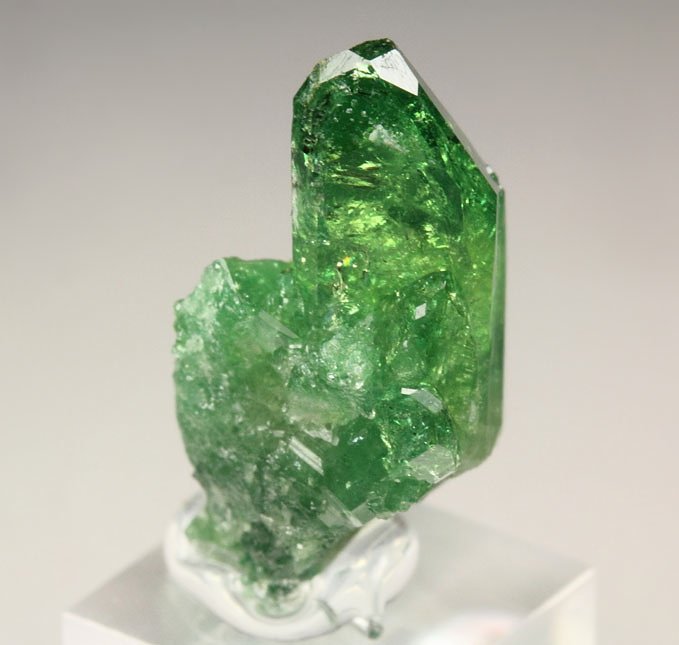 gem VESUVIANITE var. CHROMIAN