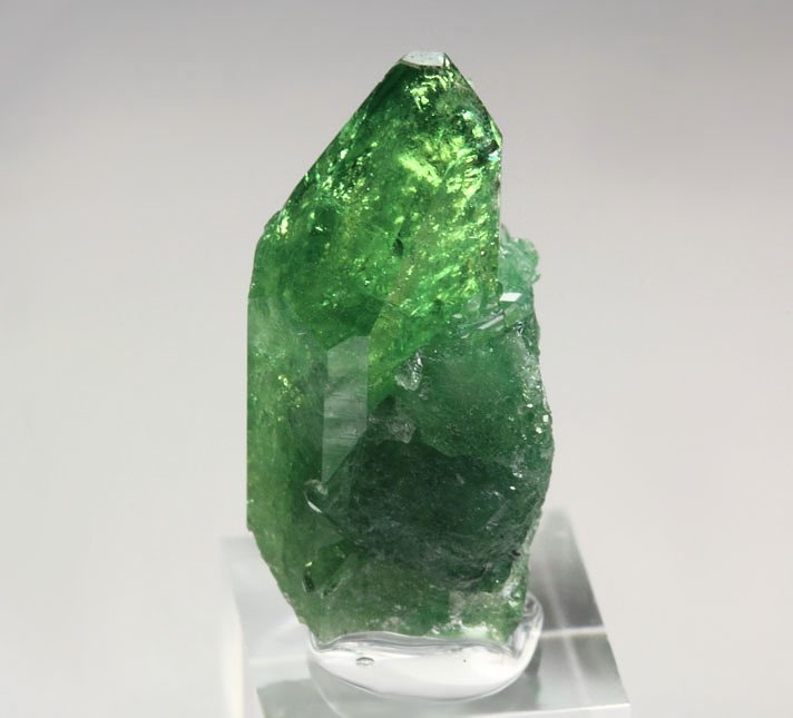 gem VESUVIANITE var. CHROMIAN