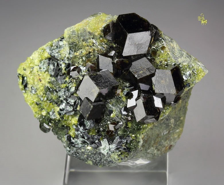 GARNET var. ANDRADITE, EPIDOTE, MUSCOVITE