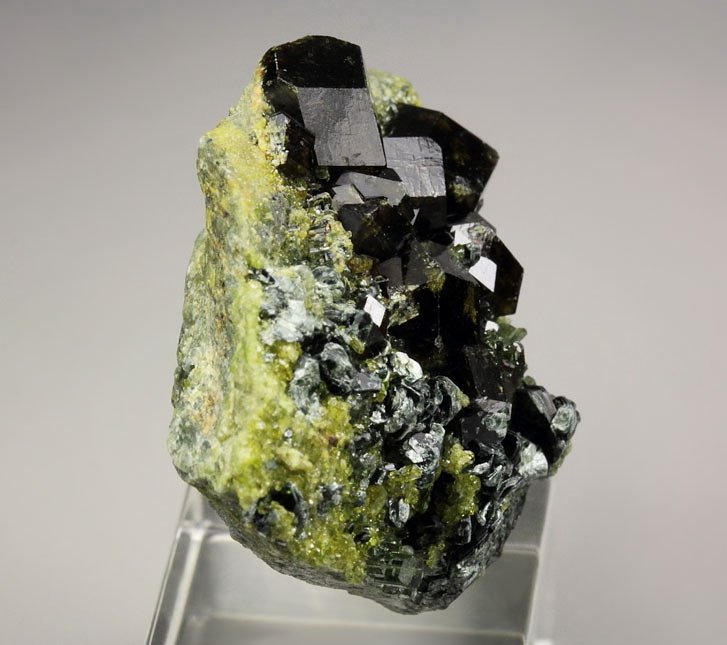 GARNET var. ANDRADITE, EPIDOTE, MUSCOVITE