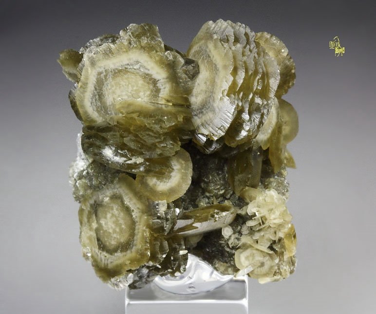 SIDERITE, MUSCOVITE