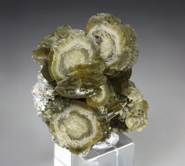 SIDERITE, MUSCOVITE