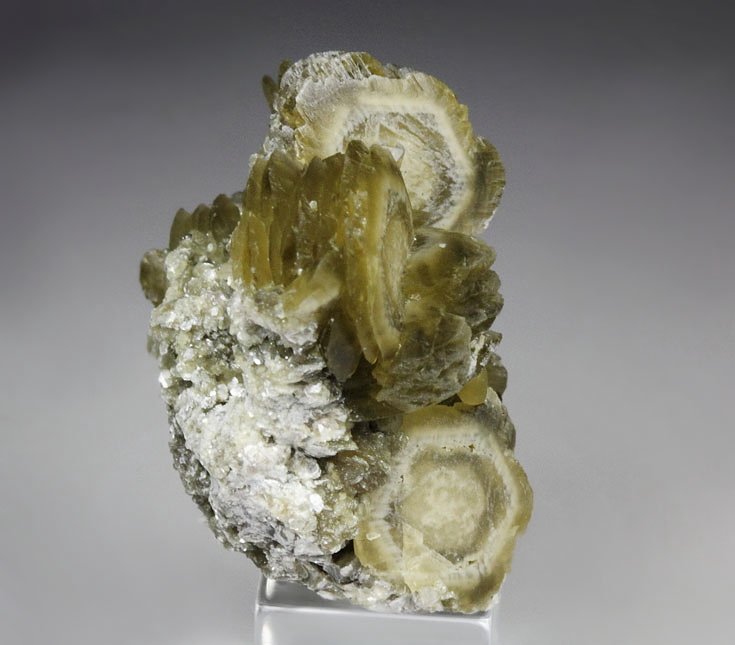 SIDERITE, MUSCOVITE