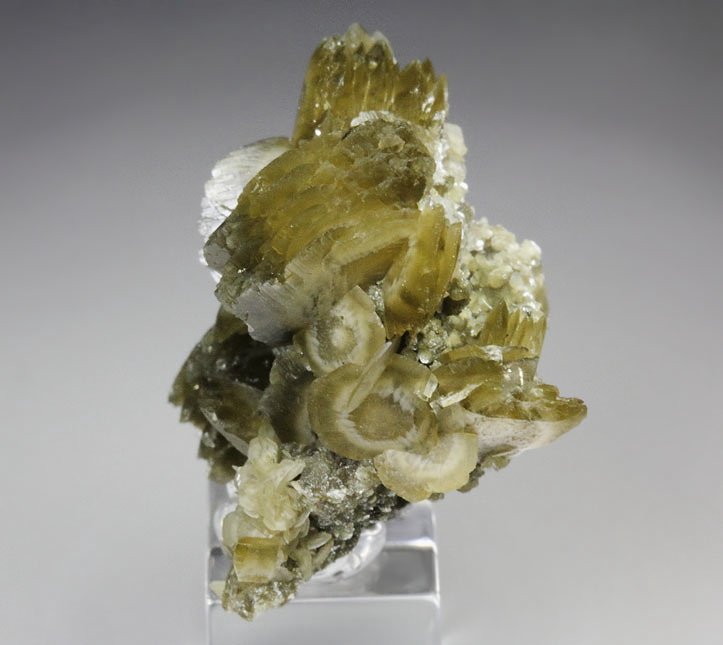 SIDERITE, MUSCOVITE