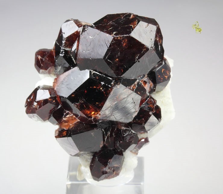 gemmy GARNET var. SPESSARTINE, ALBITE