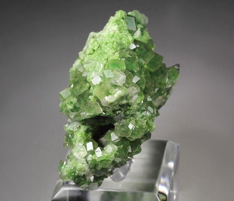 gem GARNET var. GROSSULAR with GREEN CHROMIAN PHANTOMS, DIOPSIDE