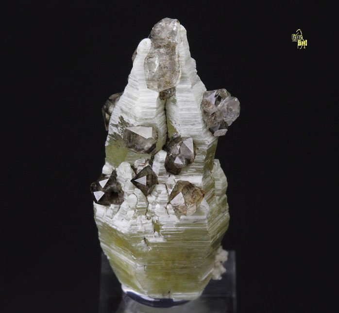 WELOGANITE, QUARTZ var. SMOKY