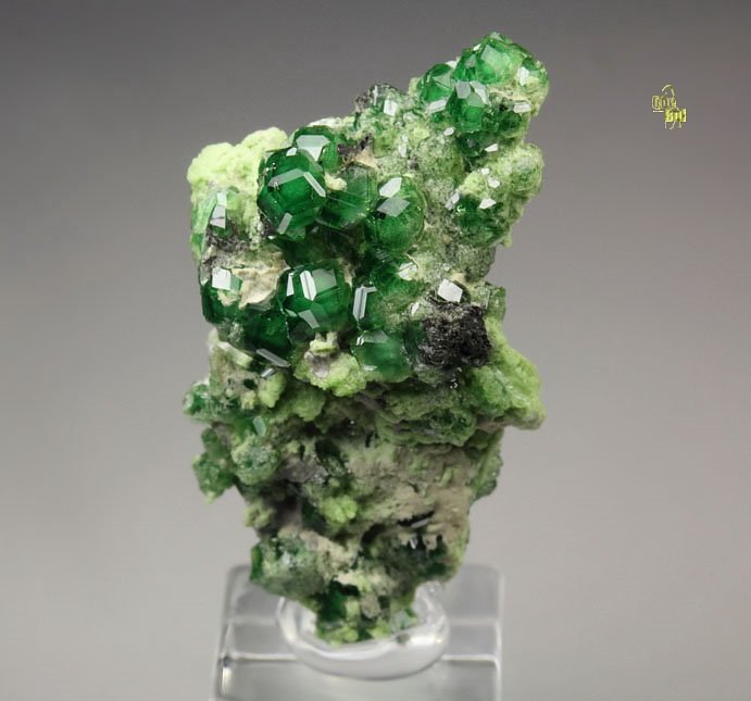 gem GARNET var. GROSSULAR var. CHROMIAN, CLINOCHLORE, DIOPSIDE