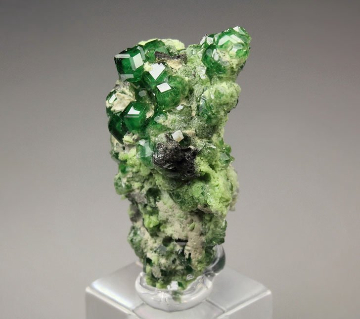 gem GARNET var. GROSSULAR var. CHROMIAN, CLINOCHLORE, DIOPSIDE