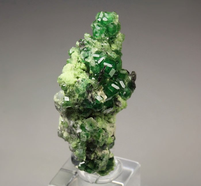 gem GARNET var. GROSSULAR var. CHROMIAN, CLINOCHLORE, DIOPSIDE