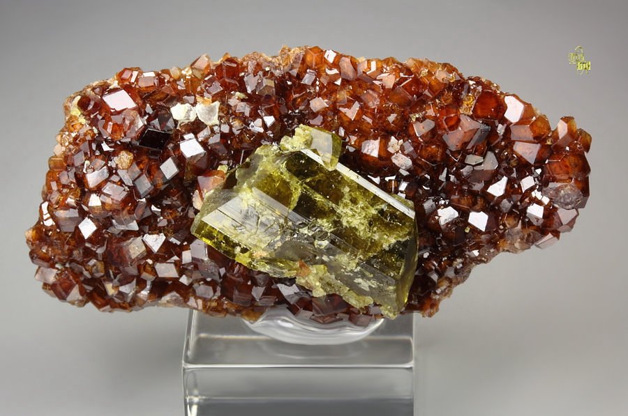 gem GARNET var. HESSONITE, DIOPSIDE