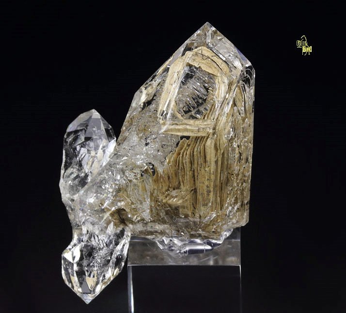 skeletal QUARTZ