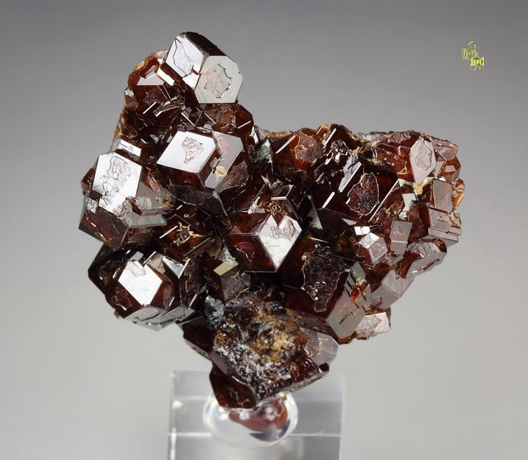 gem GARNET var. HESSONITE