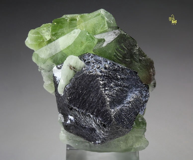 FORSTERITE var. PERIDOT with LUDWIGITE inclusions, MAGNETITE