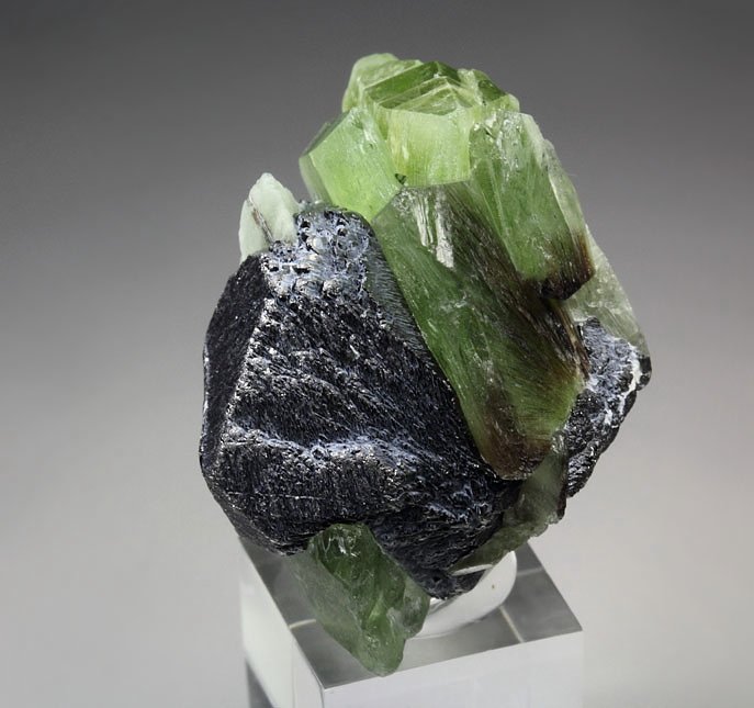 FORSTERITE var. PERIDOT with LUDWIGITE inclusions, MAGNETITE