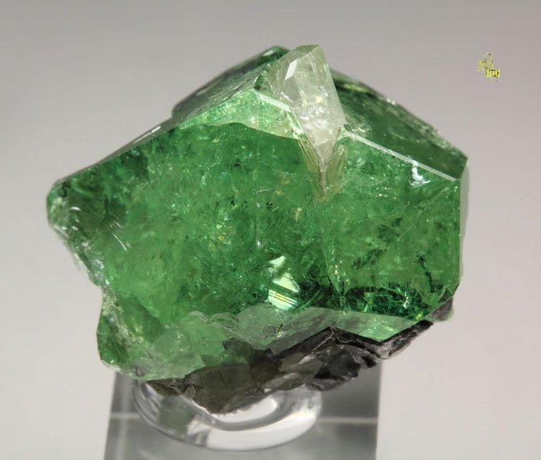 gem GARNET var. GROSSULAR var. TSAVORITE, DIOPSIDE