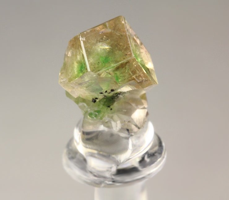 gem GARNET var. GROSSULAR with GREEN CHROMIAN PHANTOMS