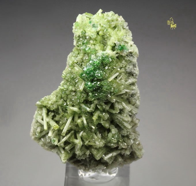 gem GARNET var. GROSSULAR var. CHROMIAN, DIOPSIDE