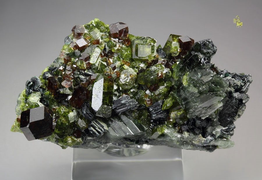 GARNET var. ANDRADITE, gem EPIDOTE, DIOPSIDE, MUSCOVITE