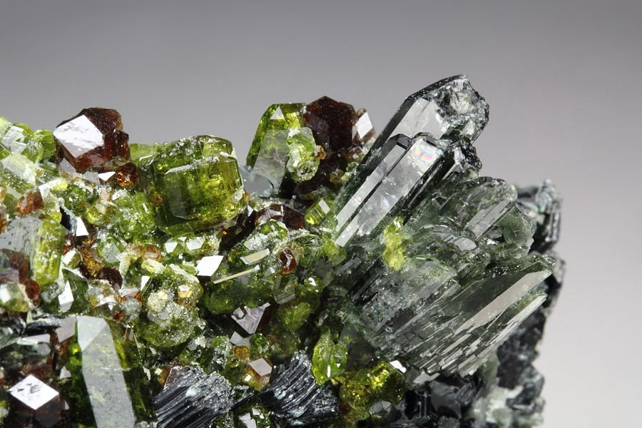 GARNET var. ANDRADITE, gem EPIDOTE, DIOPSIDE, MUSCOVITE