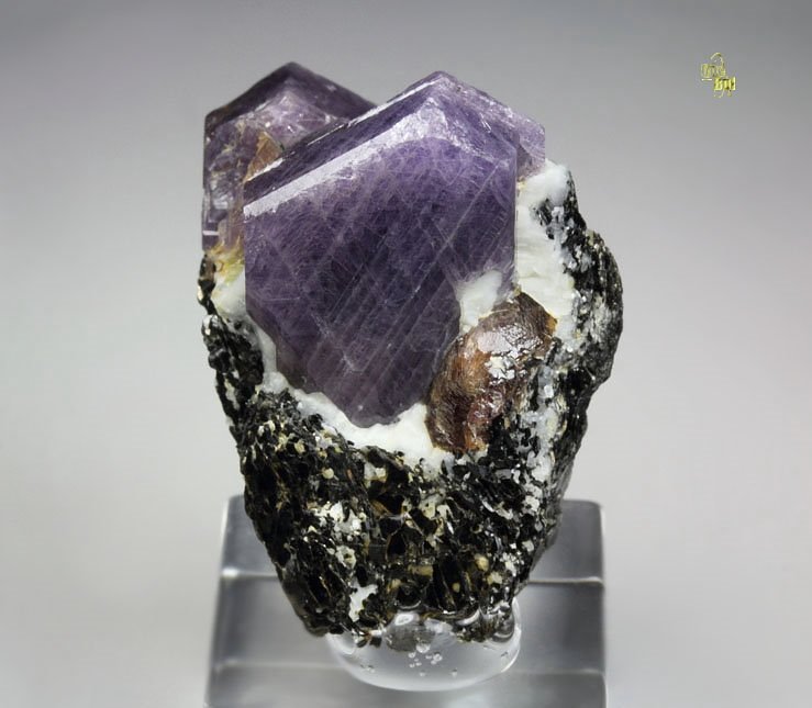 CORUNDUM var. RUBY, MUSCOVITE