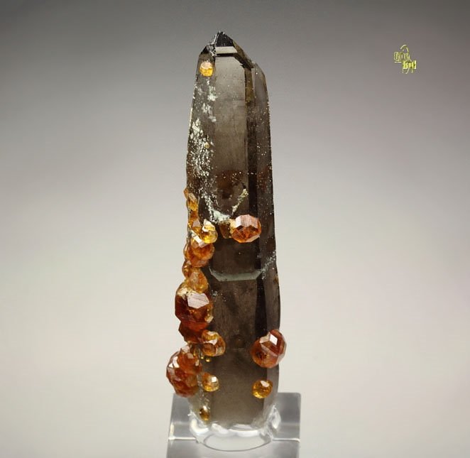 gem GARNET var. SPESSARTINE, QUARTZ var. SMOKY