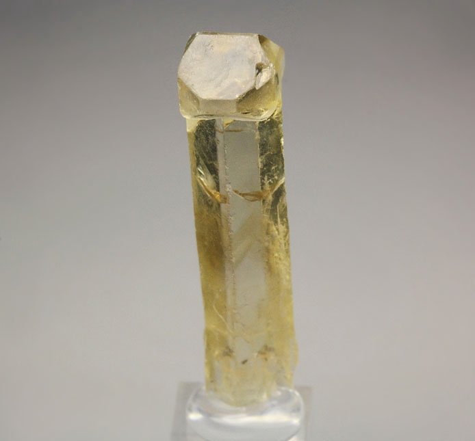 scepter BARYTE