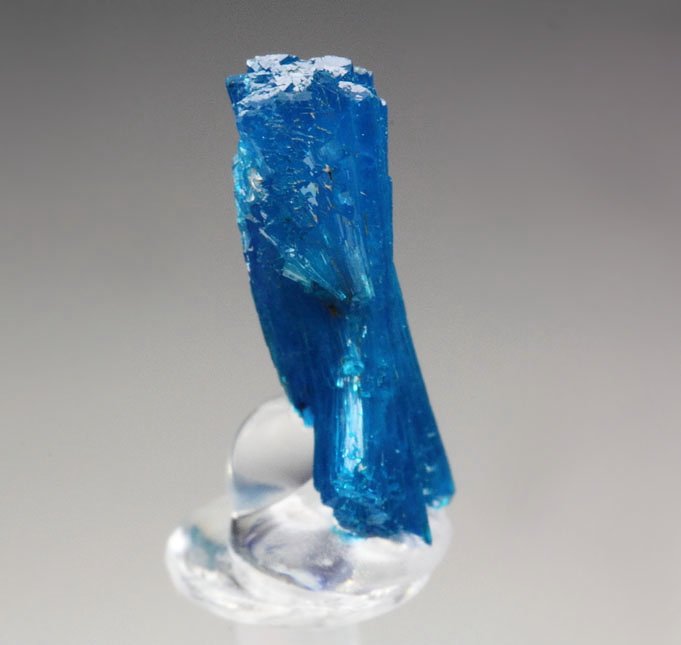 CAVANSITE bow tie