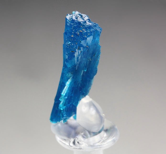 CAVANSITE bow tie