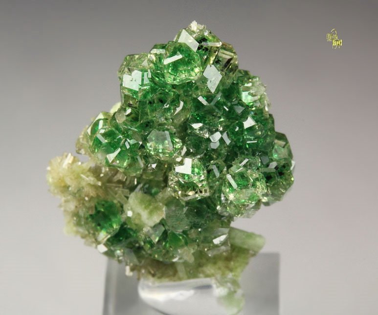 gem GARNET var. GROSSULAR with GREEN CHROMIAN PHANTOMS, DIOPSIDE, CHROMITE