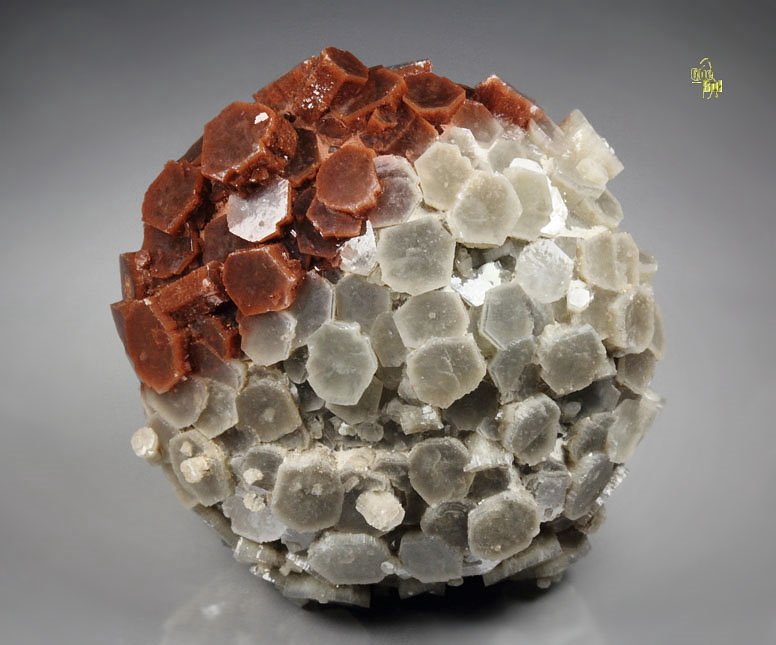 bi-color ARAGONITE floater