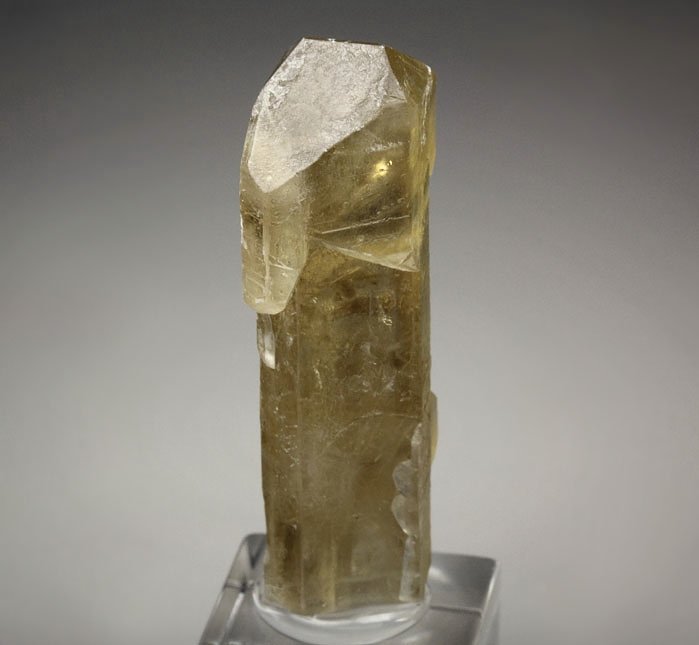 scepter BARYTE