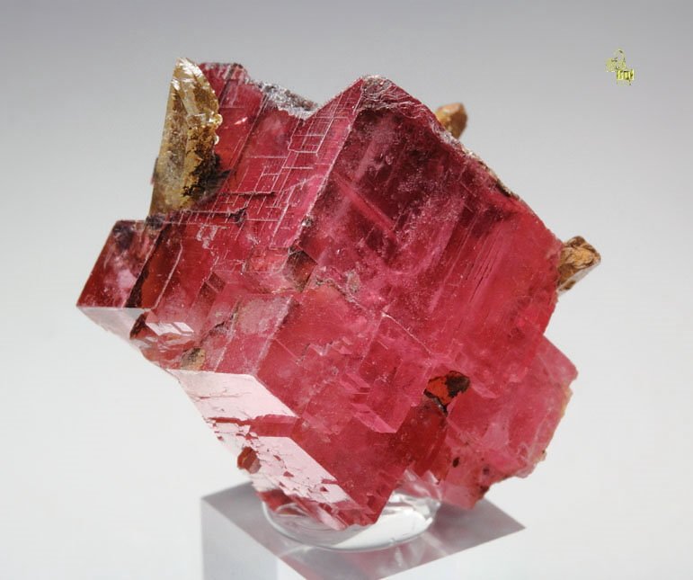 gem RHODOCHROSITE, QUARTZ