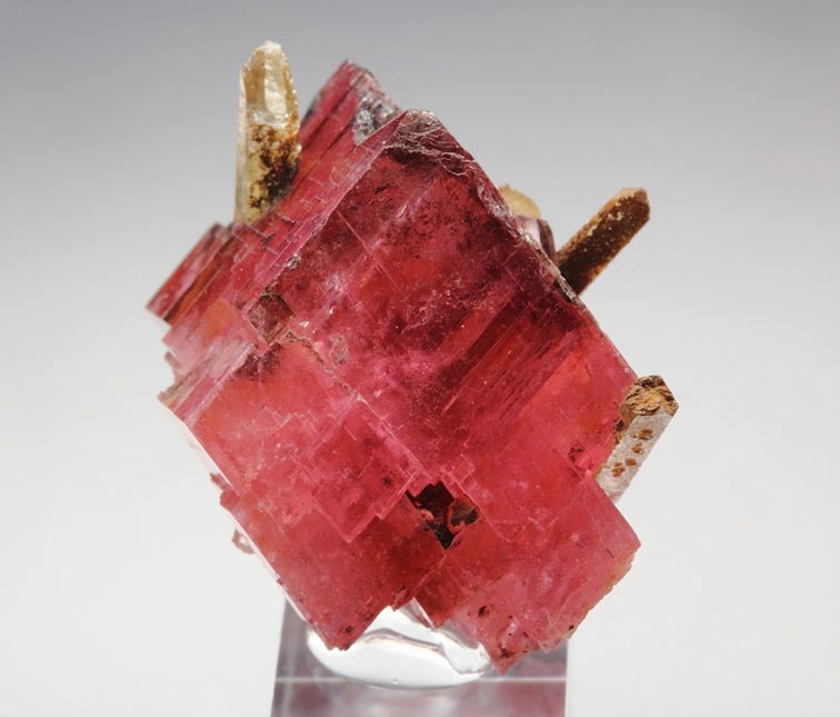 gem RHODOCHROSITE, QUARTZ