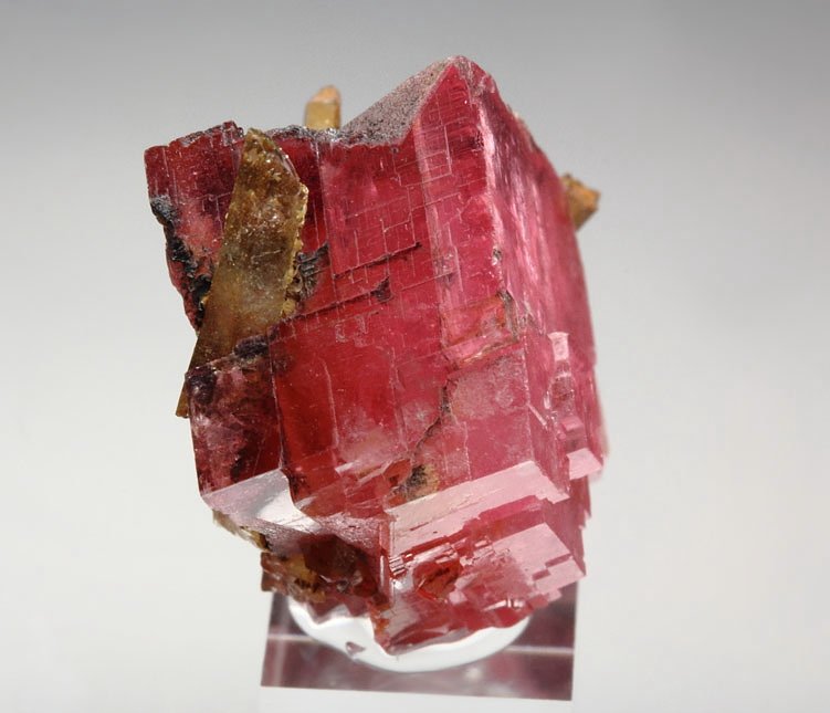 gem RHODOCHROSITE, QUARTZ