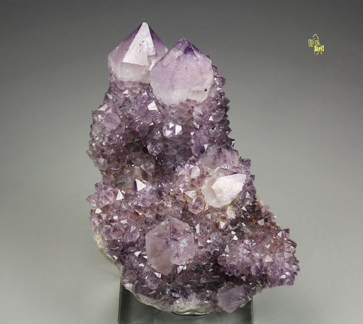 cactus QUARTZ var. AMETHYST