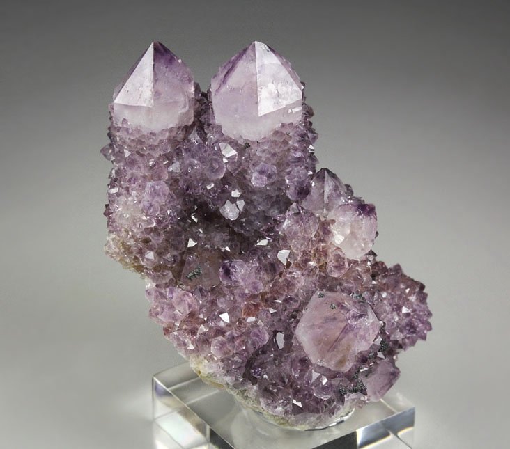 cactus QUARTZ var. AMETHYST