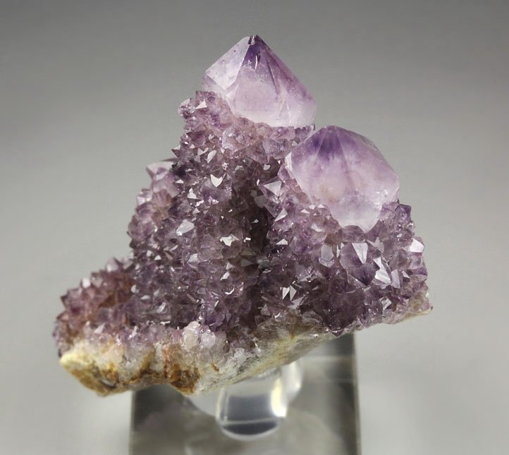 cactus QUARTZ var. AMETHYST