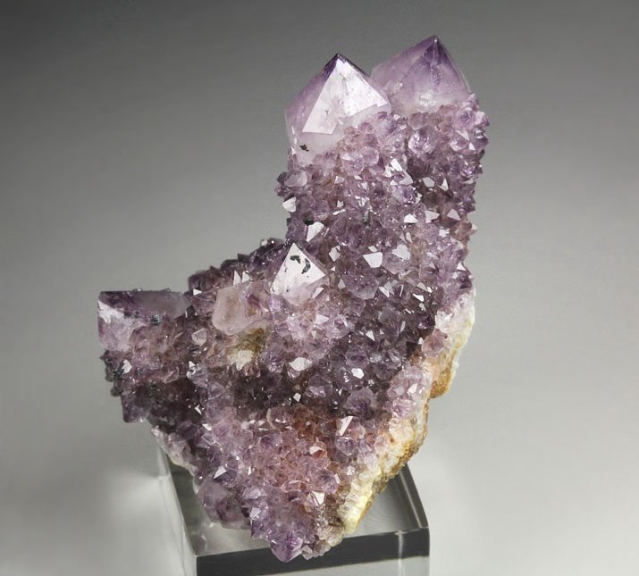 cactus QUARTZ var. AMETHYST