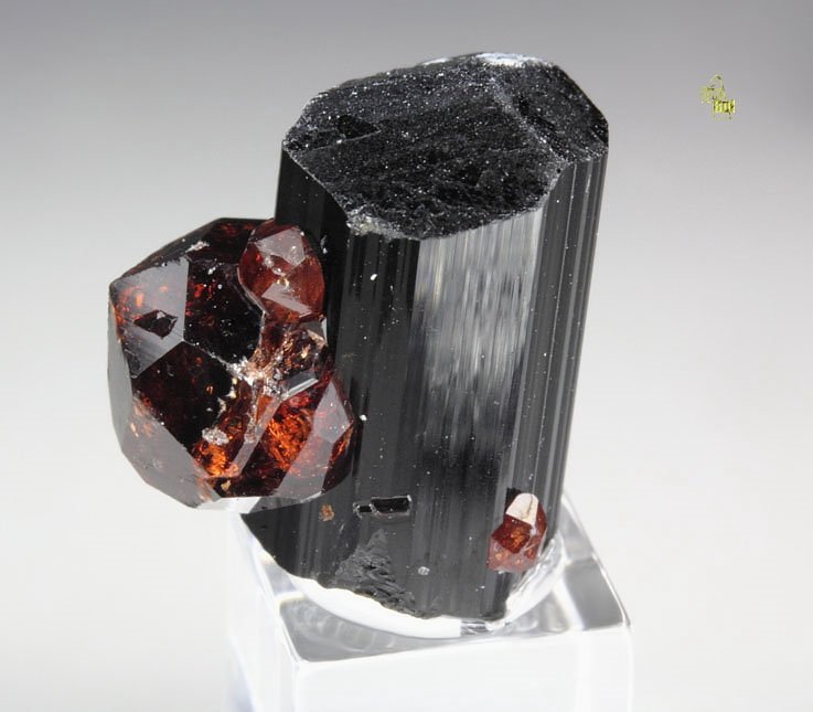 gem GARNET var. SPESSARTINE, TOURMALINE var. SCHORL