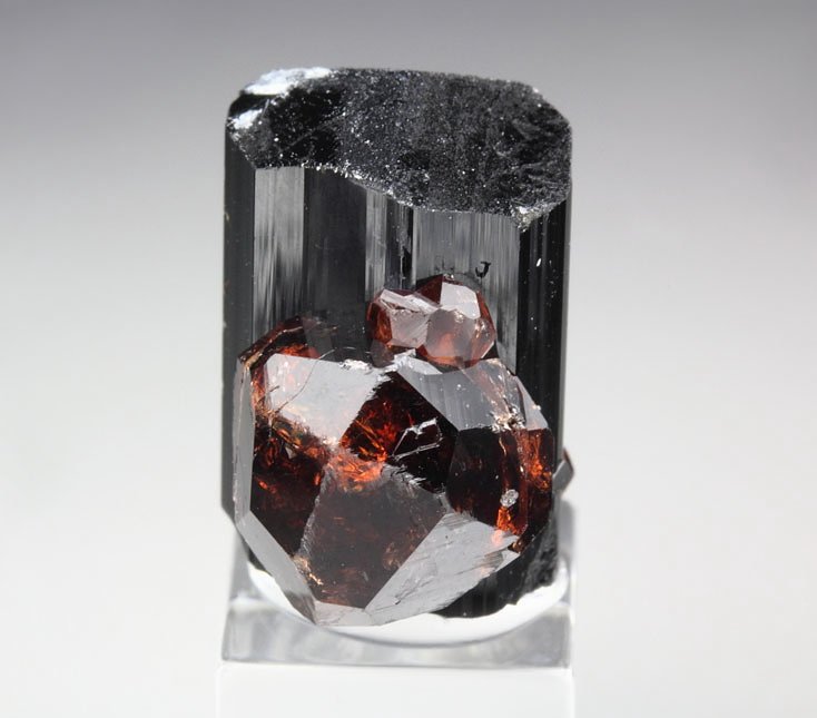 gem GARNET var. SPESSARTINE, TOURMALINE var. SCHORL