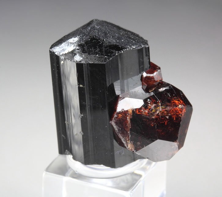 gem GARNET var. SPESSARTINE, TOURMALINE var. SCHORL