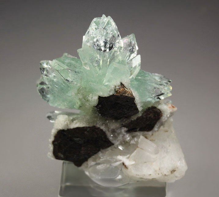 gem FLUORAPOPHYLLITE-(K), STILBITE