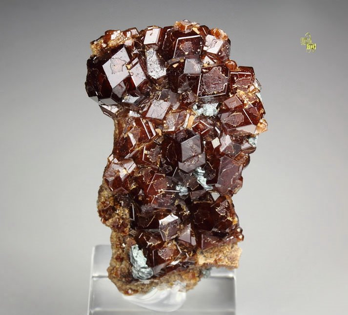 gemmy GARNET var. HESSONITE, CLINOCHLORE