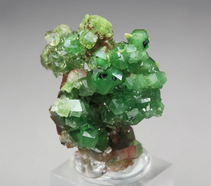 gem GARNET var. GROSSULAR var. CHROMIAN, CHROMITE, DIOPSIDE