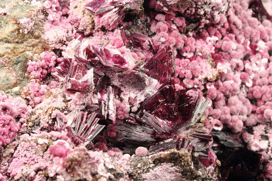 ERYTHRITE two habits