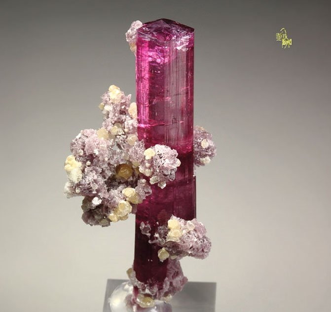 gem TOURMALINE var. ELBAITE, LEPIDOLITE, MUSCOVITE