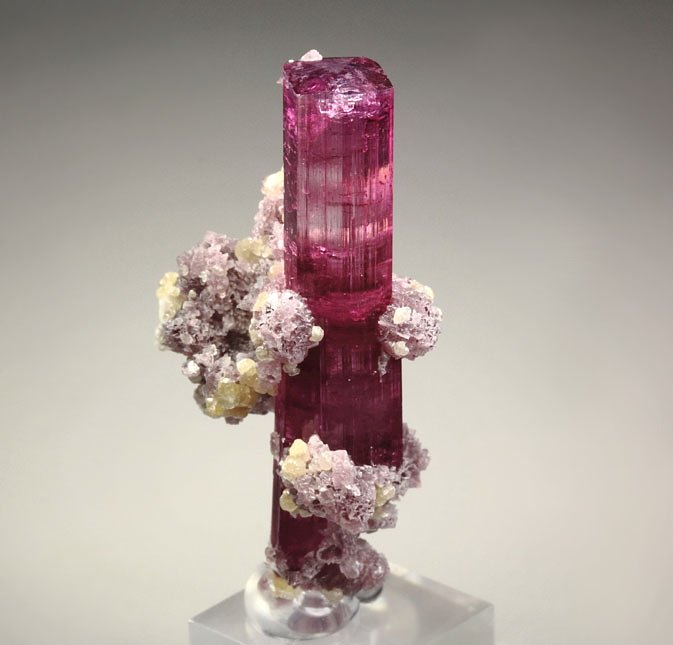 gem TOURMALINE var. ELBAITE, LEPIDOLITE, MUSCOVITE