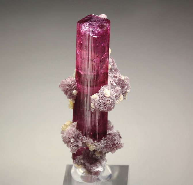 gem TOURMALINE var. ELBAITE, LEPIDOLITE, MUSCOVITE
